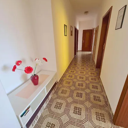 Vesna Novi Vinodolski