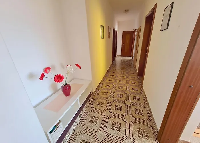 Vesna Novi Vinodolski